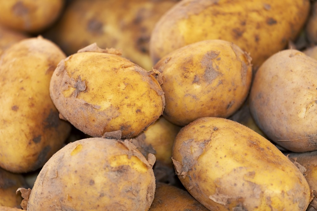 potato-3440360.jpg