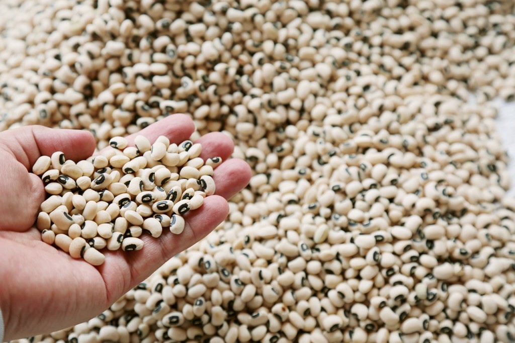 seeds-5388208_1280.jpg