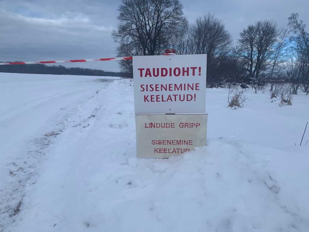 Telo talu15.jpg