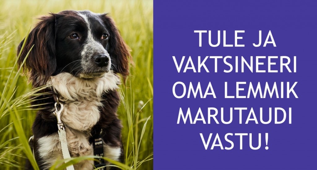 Lemmikute vaktsineerimine
