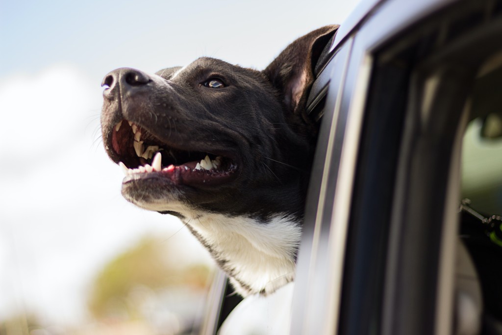 Photo by Andrew Pons on Unsplash.jpeg