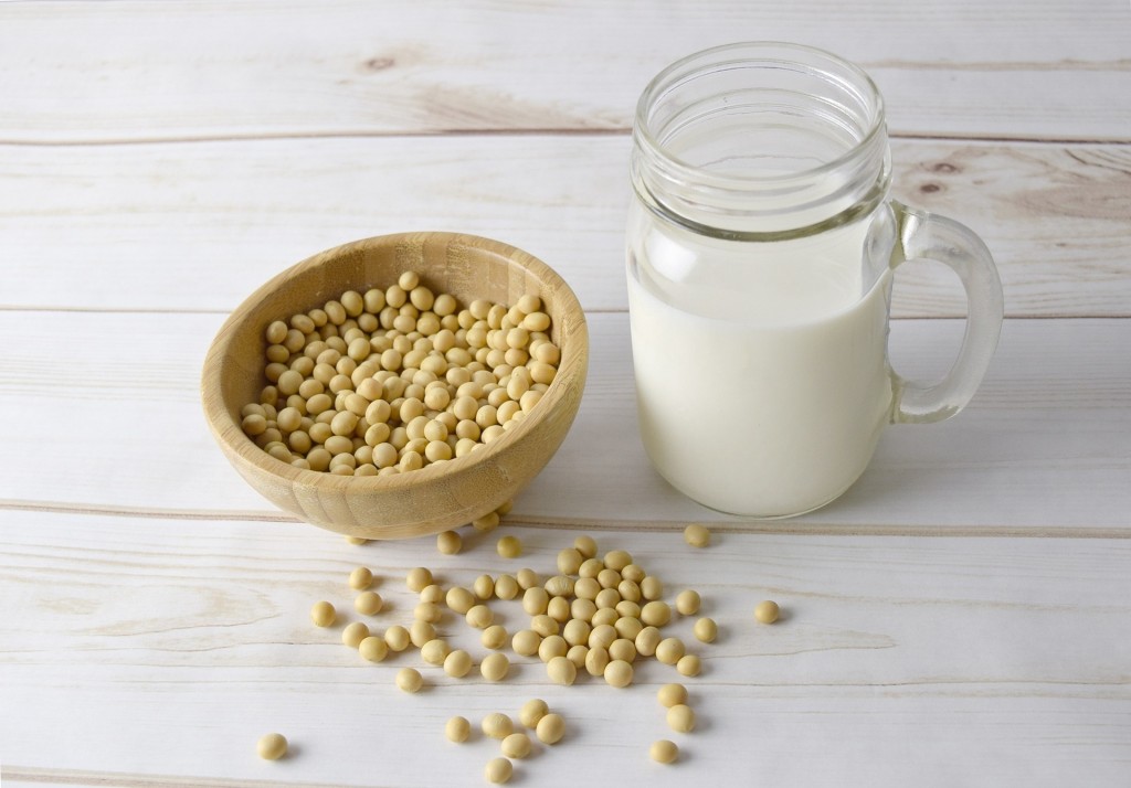 soy-milk-g11384911e_1920.jpg
