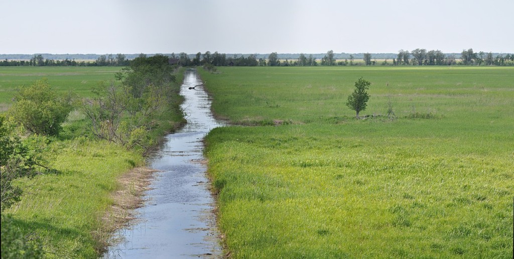 põld kraaviga.jpg