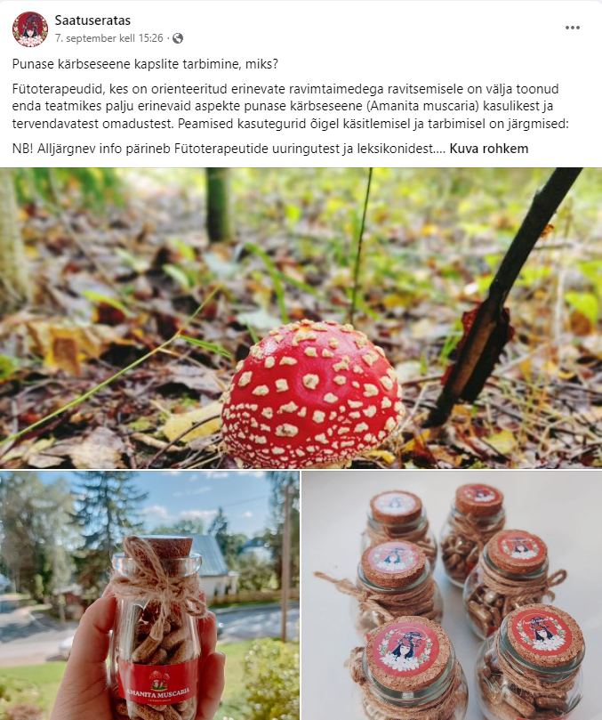Kärbseseen1.PNG