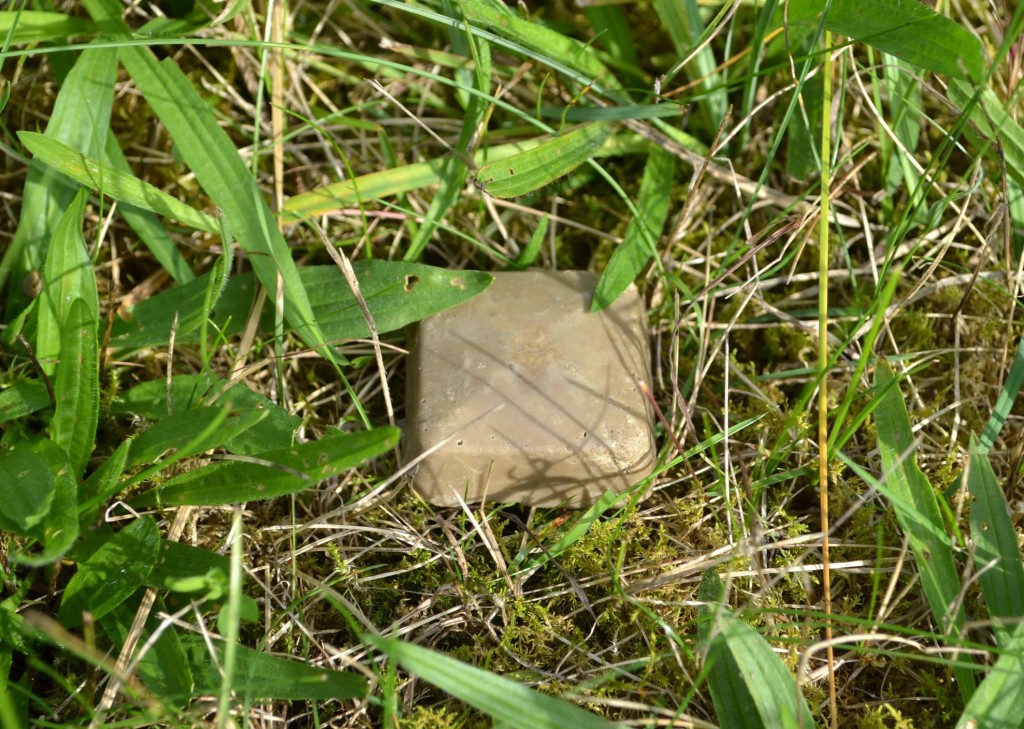 Marutaudi pala_0.jpg
