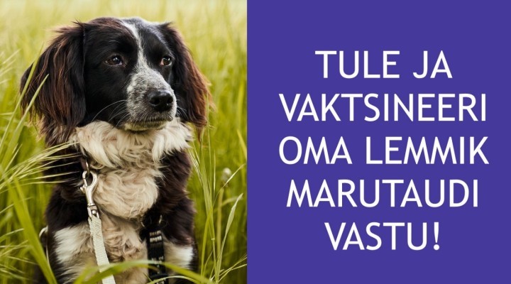 Lemmikute vaktsineerimine_pilt_eesti_keeles.jpg