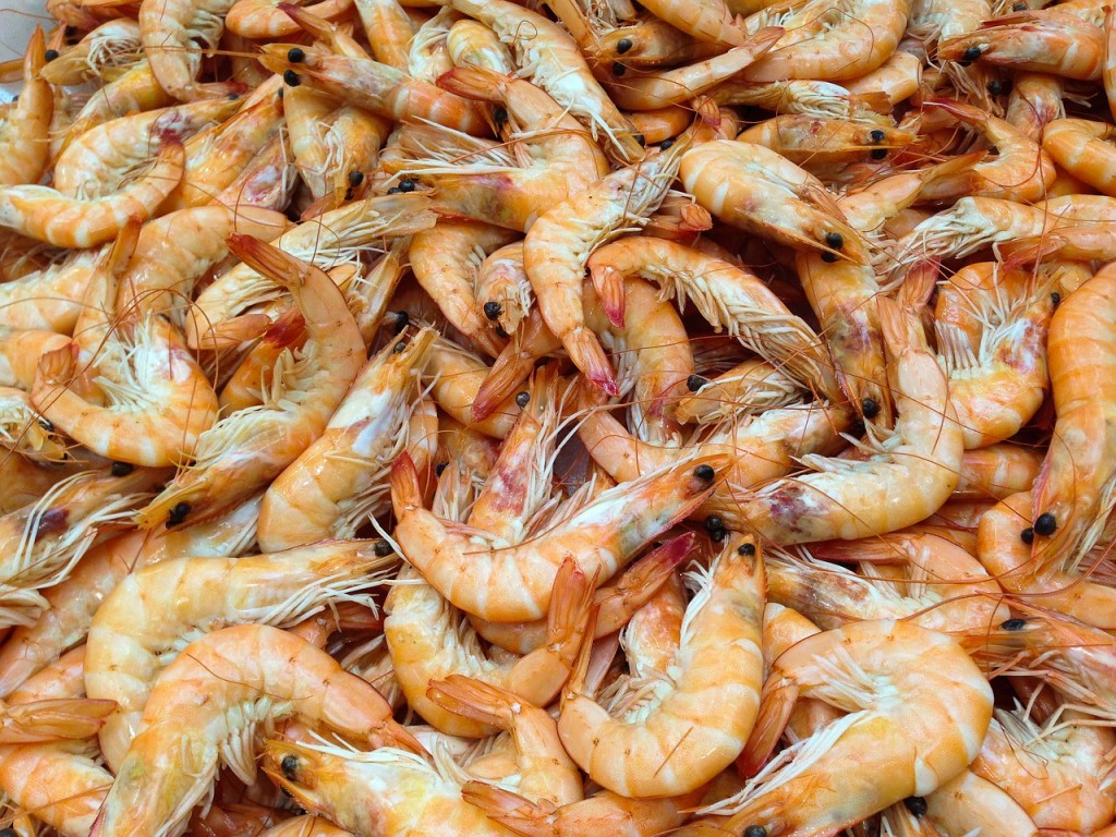 shrimp-727214_1280.jpg