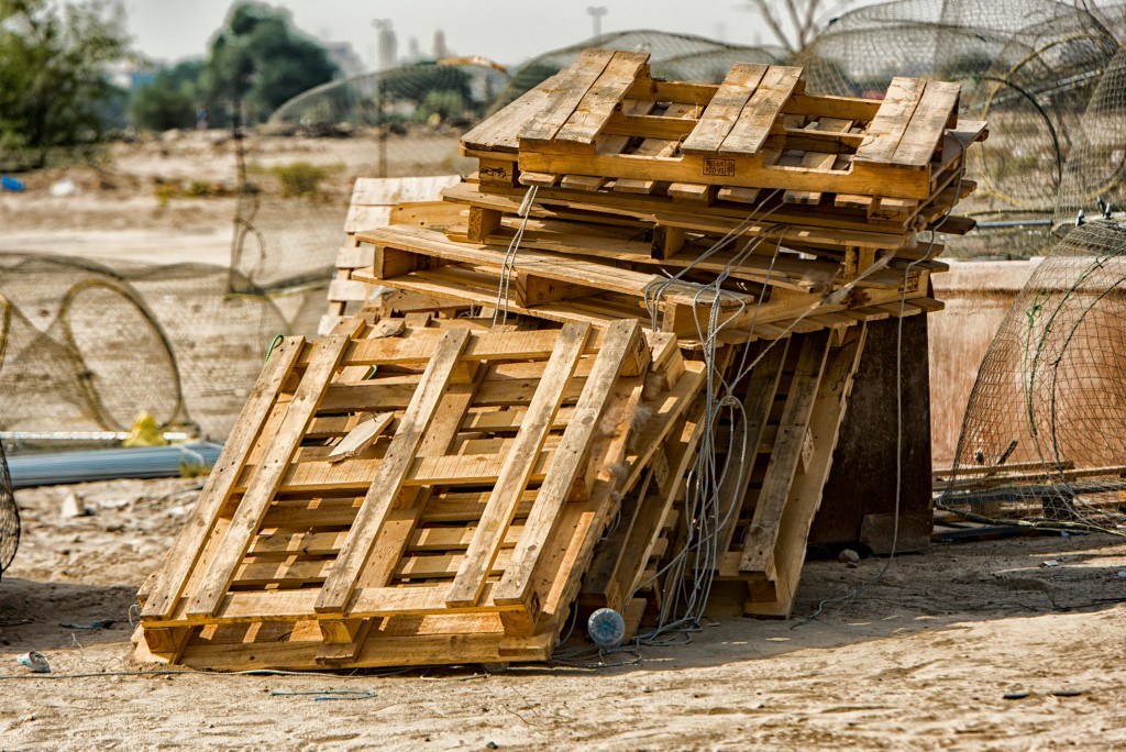 pexels-frans-van-heerden-201846-635096.jpg