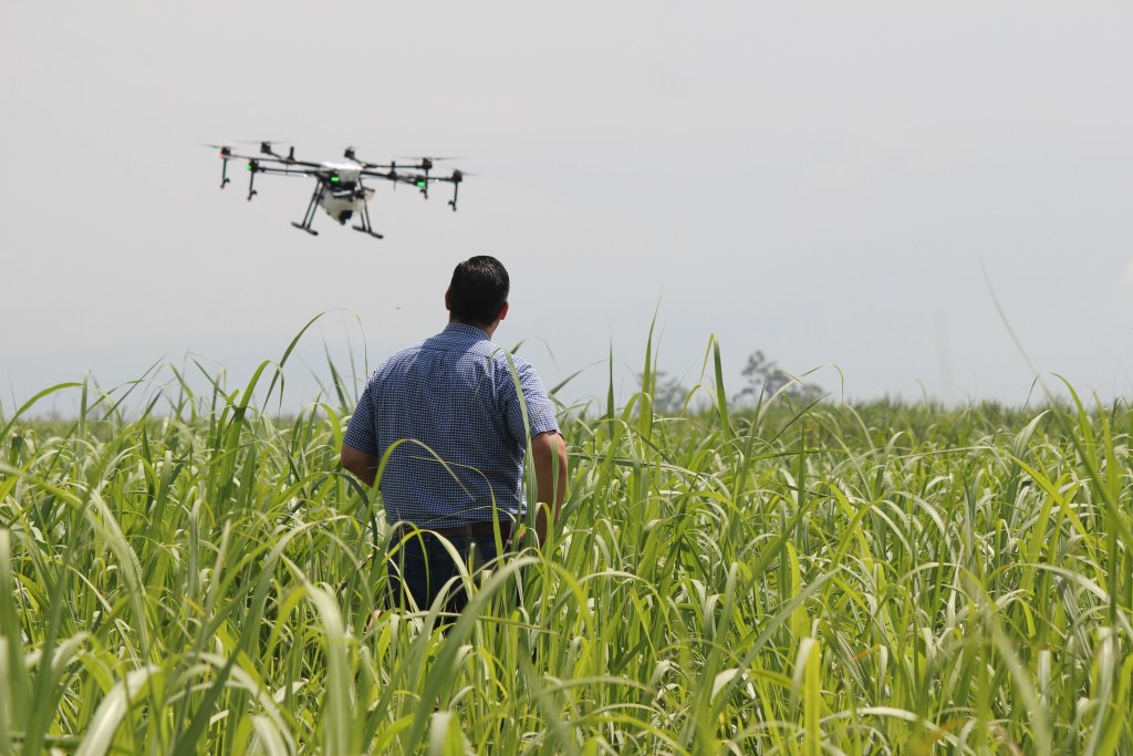 herney-drone-2734228.jpg